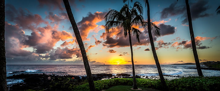 zachód słońca, Hawaje, palmy, panoramy, Wybrzeże, kokosowy, egzotyczne