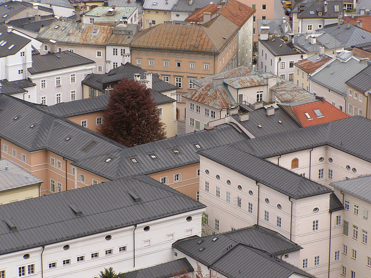 tetto, Case del tetto, singolo albero, albero, Salisburgo, città dall'alto, tetto della casa