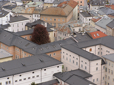 roof, roof houses, single tree, tree, salzburg, city from above, house roof