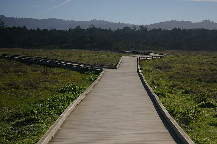 mackerricher state park, california, boardwalk, fort bragg, coast, green, mackerricher