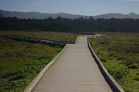 Mackerricher state park, Californien, Boardwalk, Fort bragg, kyst, grøn, Mackerricher