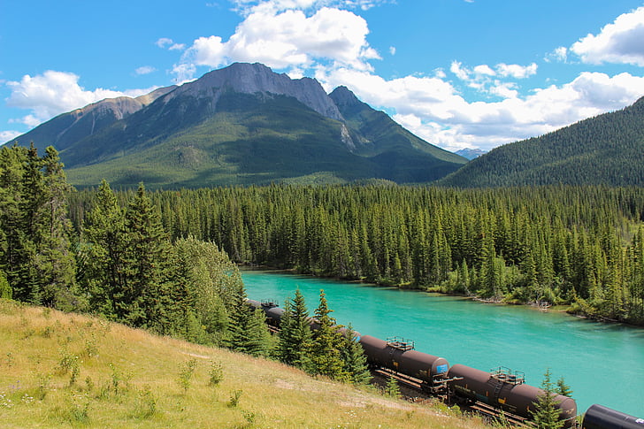 a vonat, rakomány, Bow folyó, Banff, Alberta, Kanada, erdő