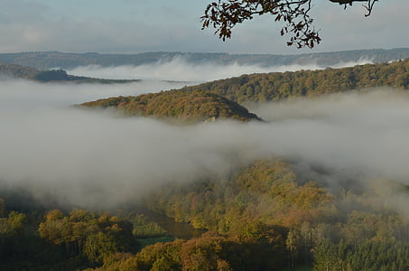 Bỉ, Ardennes, cảnh quan, Thiên nhiên, Thung lũng, cây, sương mù