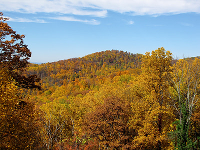 gorskih, padec, jeseni, narave, krajine, scensko, dreves