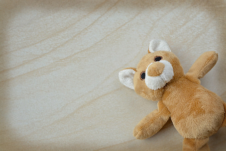 泰迪, 玩具熊, 小熊, 毛绒玩具的熊, 毛茸茸的玩具熊, 小, 甜