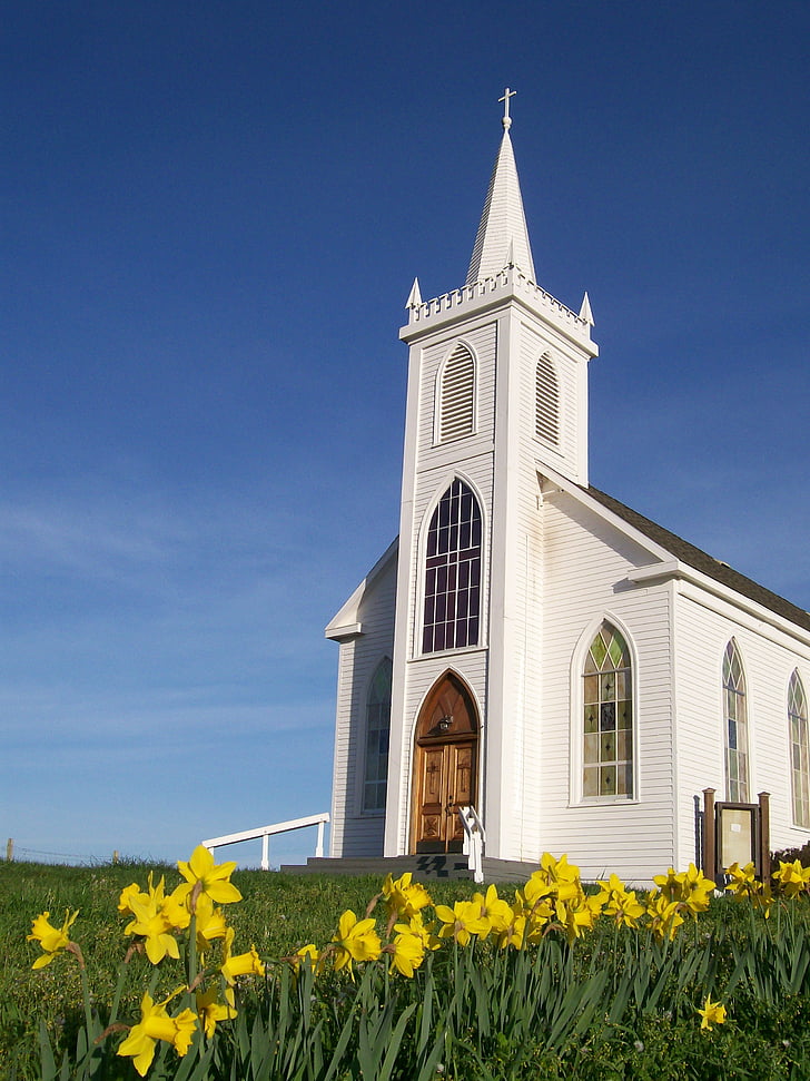 kostel, Bodega, křesťan, historické, náboženské, Kalifornie, náboženství