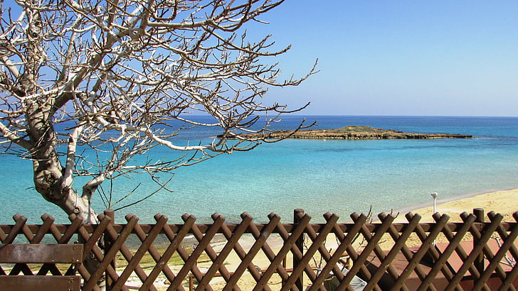 Kypros, Protaras, fikentreet bay, stranden, ro, Resort, landskapet