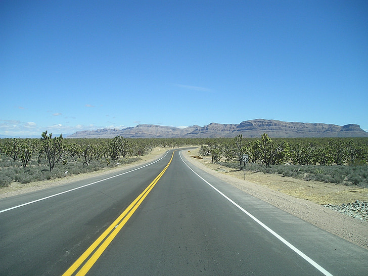 cesta, cesta, 66, osamělost, poušť, kaktus, Arizona