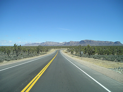 cestné, trasa, 66, samota, Desert, kaktus, Arizona