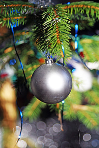 Ornament, Vánoční, Vánoční dekorace, jehly, stromek, světlo, ozdoby