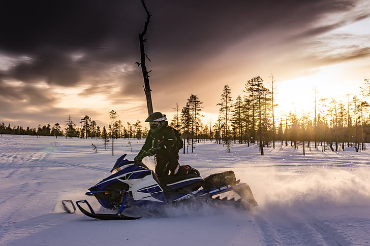 Snowmobiles, Lapland, mobil salju, Swedia, menyenangkan, Ski doo, musim dingin