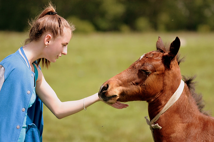 horse, girl, love, comfort, contact, brown