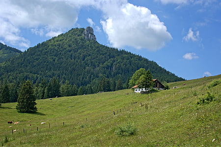 景观, 自然, 巴伐利亚, 上部巴伐利亚, chiemgau, 山脉, alm