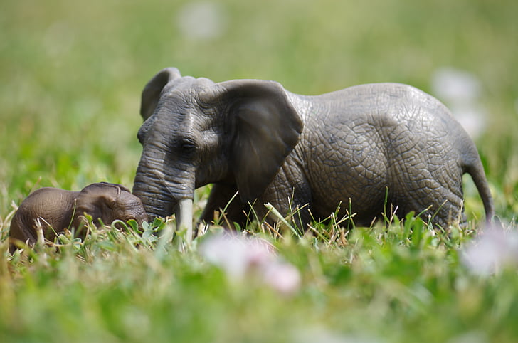 Слони, іграшки, трава, слон