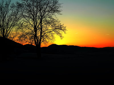 solnedgång, träd, solen, Liptov Slovakien, vinter