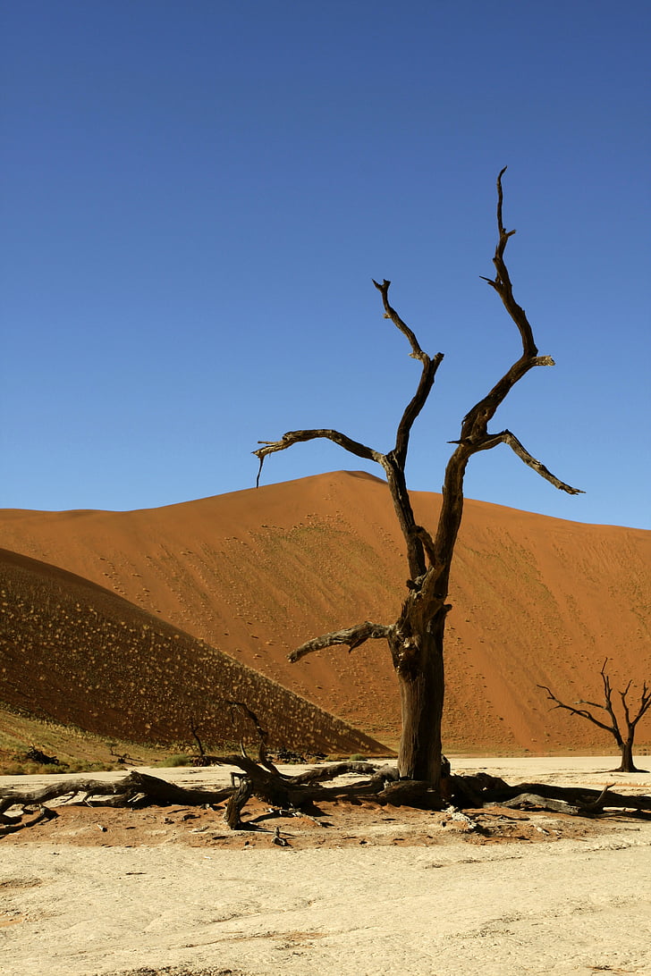 Namibija, Sossusvlei, dine, priroda, brda, pustinja, sušnim klimatskim