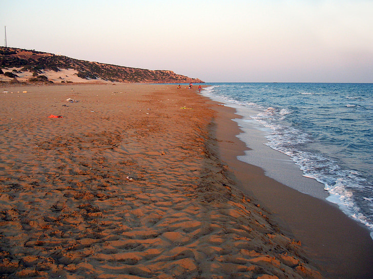 Turtle Strand, Cypern, tyrkisk, havet, vand, natur, Wildlife