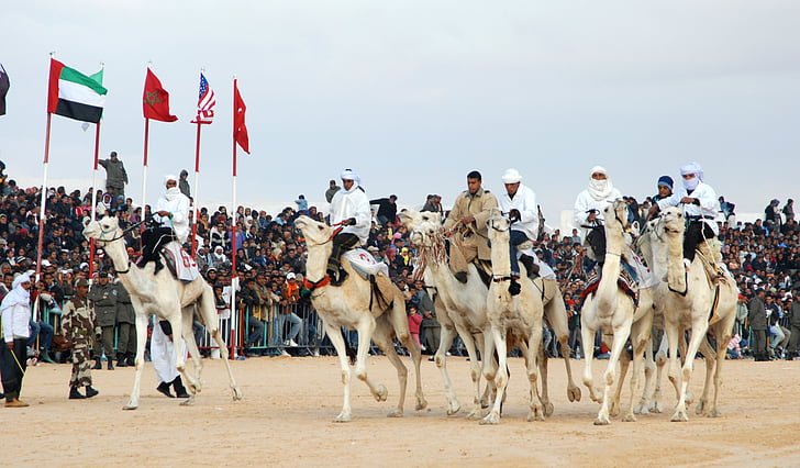 Tunézia, teve racing, Douz, beduin, állat, az emberek