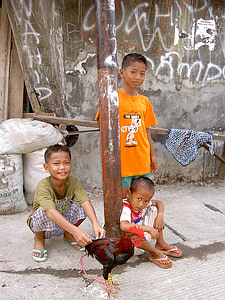 Indonesia, barn, slum, Haan, fattigdom, Asia, spill