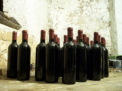 flaska, cell, källare, flaskor, vin, flaskor vin, rött vin