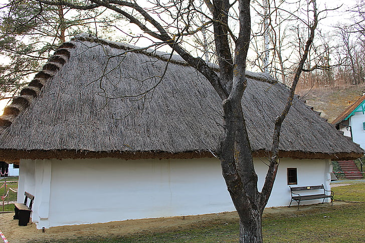 home, straw roof, straw, thatched Roof, roof, cultures, house