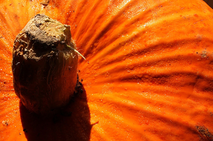 Kürbis, Orange, Halloween, Oktober, Herbst