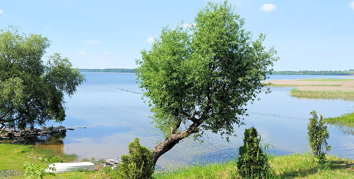 masuria, lake, water, landscape, tree, sky, green