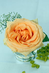 Rožė, oranžinė, stalo dekoravimas, gėlių išdėstymas, gėlės