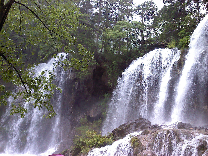 Jiuzhaigou, Falls, ağaçlar