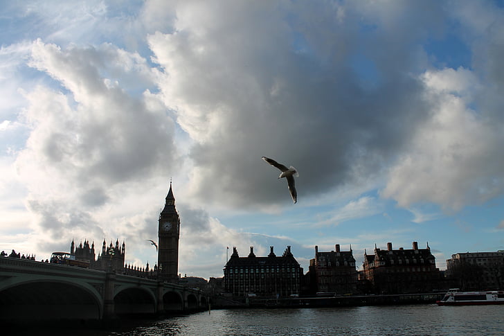 Big ben, Thames, Sky, London, fugl, Westminster, England