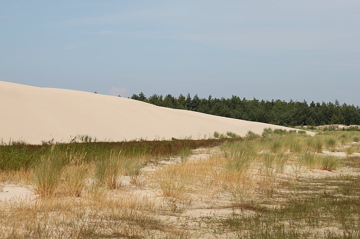 Dune, mobilne dune, wybrzeża, Morza Bałtyckiego, Polska, ruchome wydmy, Plaża