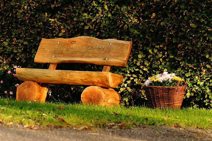 пейка, дървен материал, седалка, вън, почивка, щракнете върху, Есен