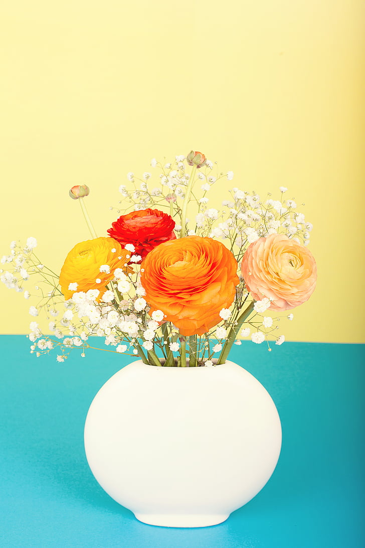 cvijeće, Ranunculus, buket, cvijet vaza, proljeće, narančasta, boja