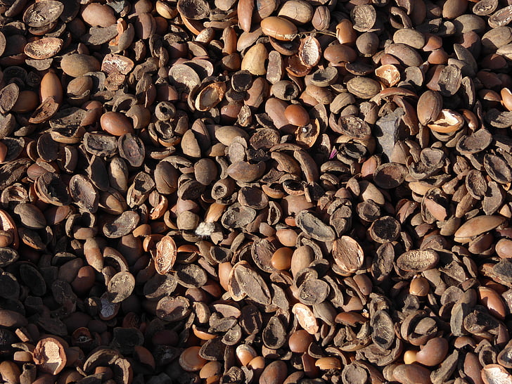 Arganolie, nutshells, Argan noten, Marokko, bioargan