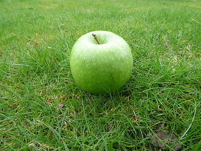 Apple, grama, verde