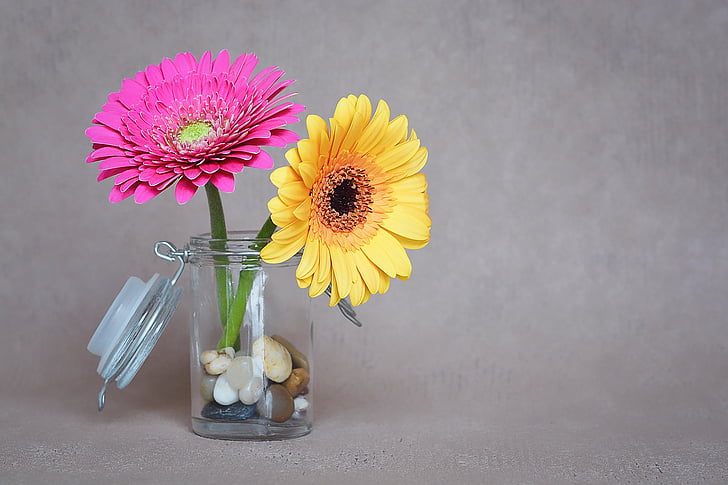 Гербер, цветя, розово, жълто, ваза, стъкло, буркан