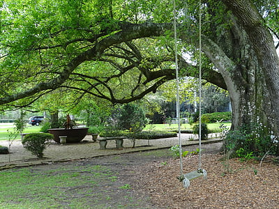 Nowy Orlean, ogród, huśtawka, drzewo, Południowej, Ameryka