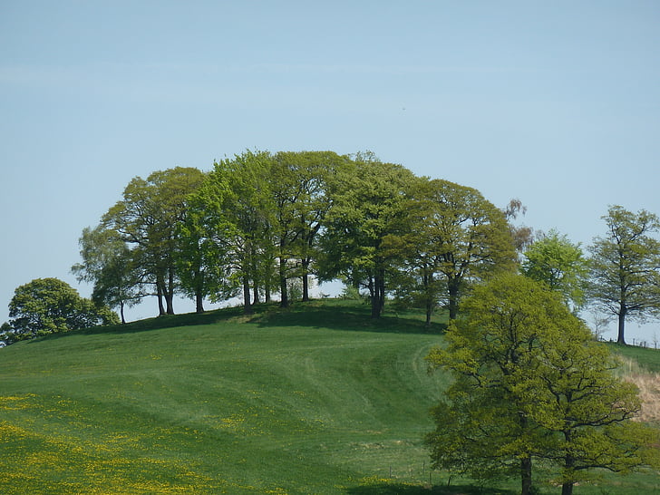 vaals, netherlands, field, trees, sky, clouds, landscape
