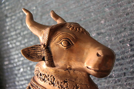 býk, kráva, zvíře, dekorativní, show kus, bronz, socha