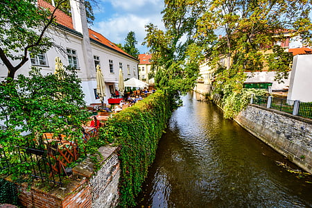 kafé, Praha, tsjekkisk, kanalen, elven, trær, utendørs