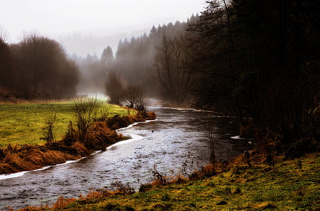 elven, våte, tåkete, mystiske, mørk, skog, åsene