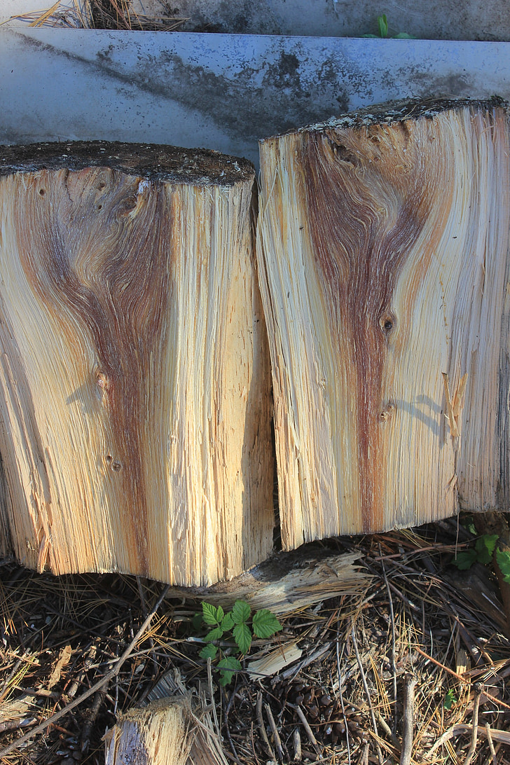 spiriti di legno, pino, legna da ardere