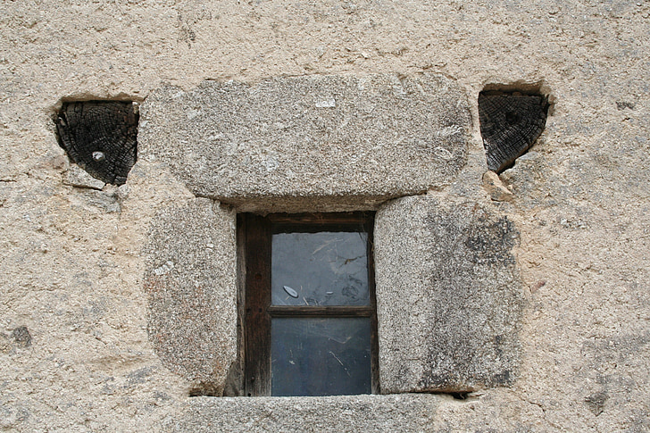 architecture, wall, building, sheep