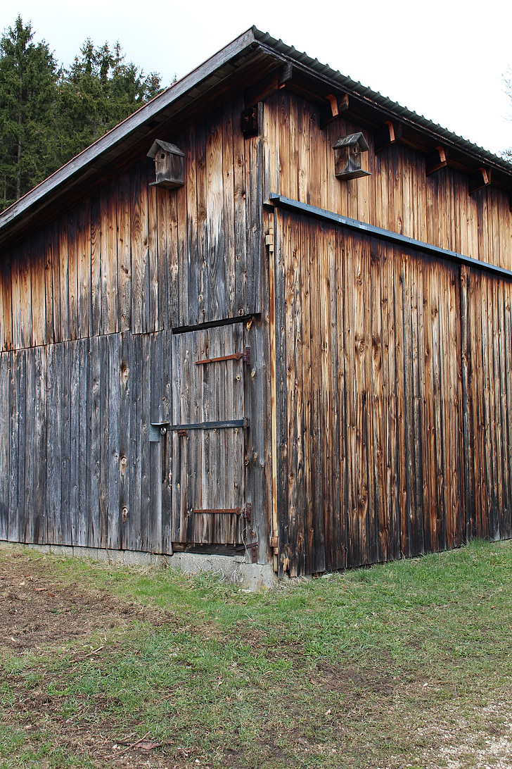 wood shed, weathered, old, lonely, quiet, forest, barn