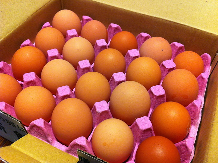 vejce krabičce, box s vajíčky, PLATO od vajec, vejce, jídlo, výživa, bílkoviny