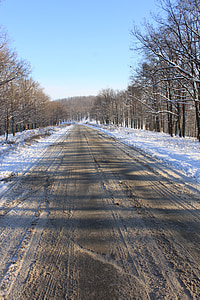 kalla, skogen, Road, snö, snöig, träd, vit