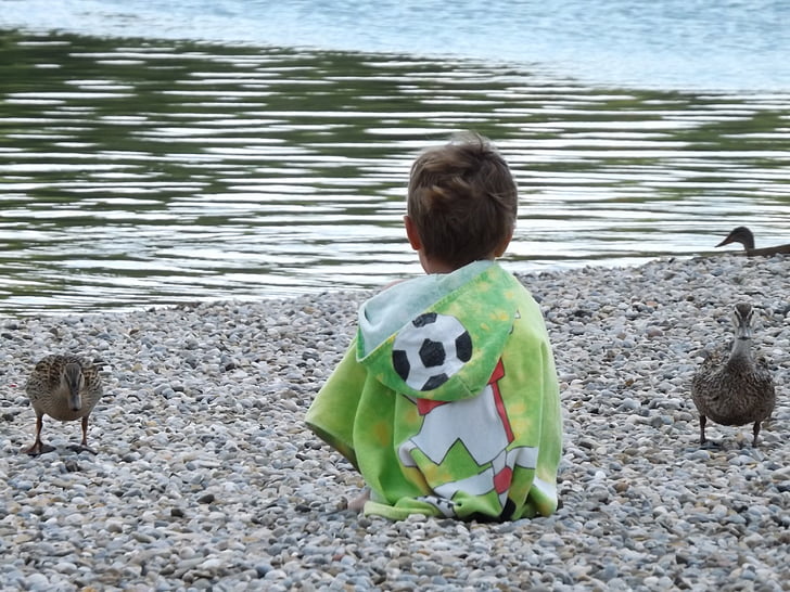 dijete, patka, jezero, šljunčana, stražnji pogled, dječaci, priroda