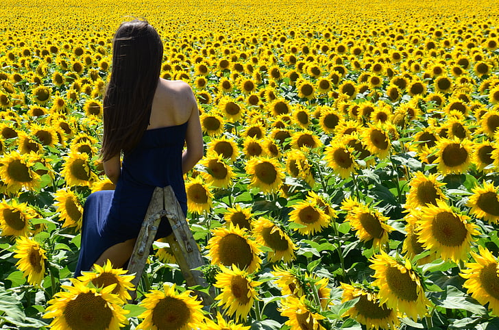 Hoa hướng dương, ánh nắng mặt trời, cô gái trẻ, thực vật, cuộc sống, Hungary, màu vàng