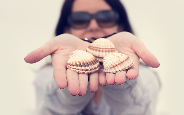 woman, grey, top, holding, shells, hand, palm