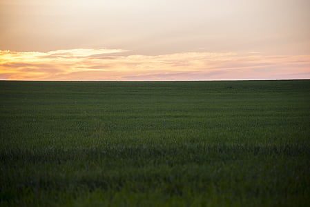 Грін, поле, Захід сонця, Фотографія, трава, краєвид, Луговий